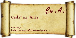 Csősz Aliz névjegykártya